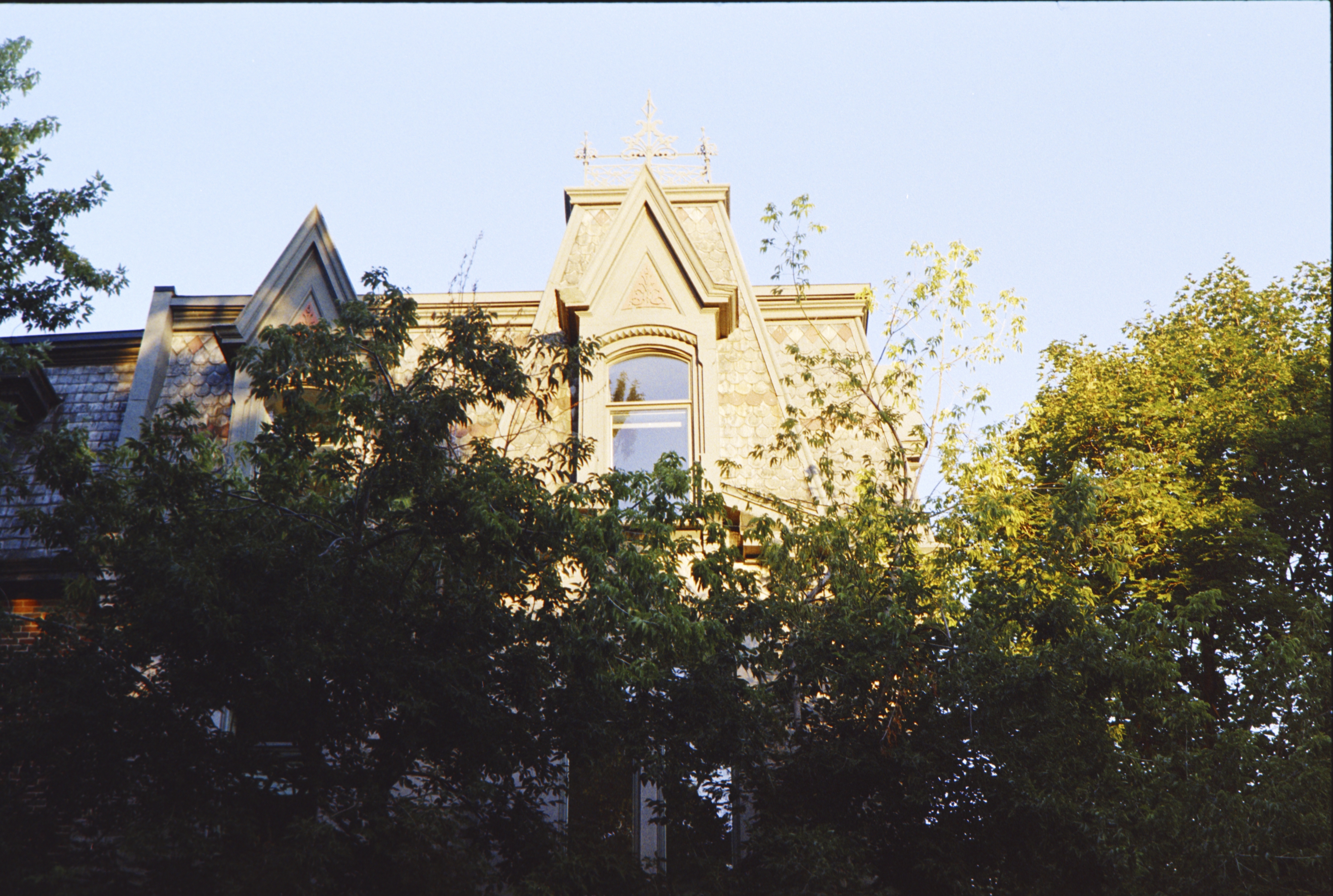 Gallery image 50