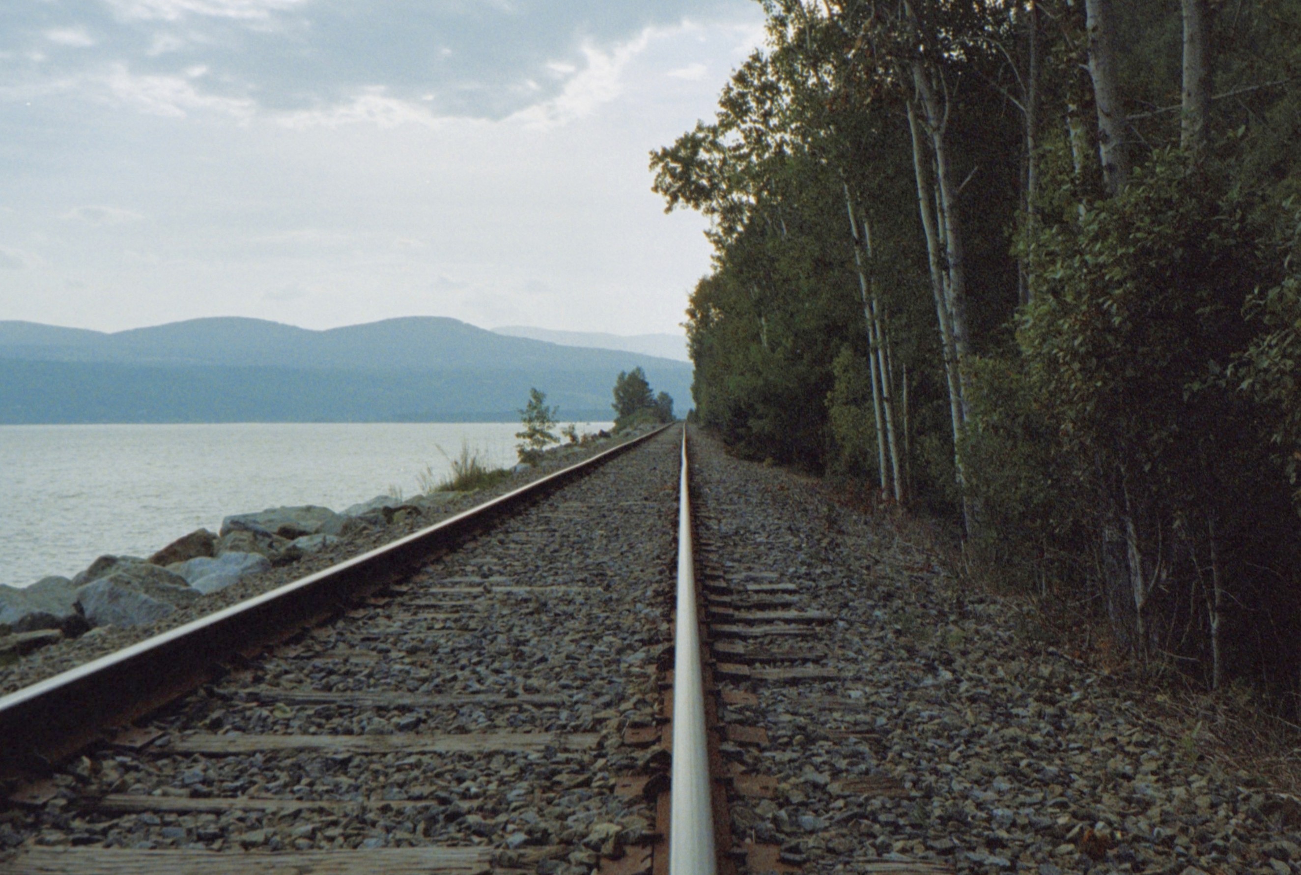 Gallery image 58