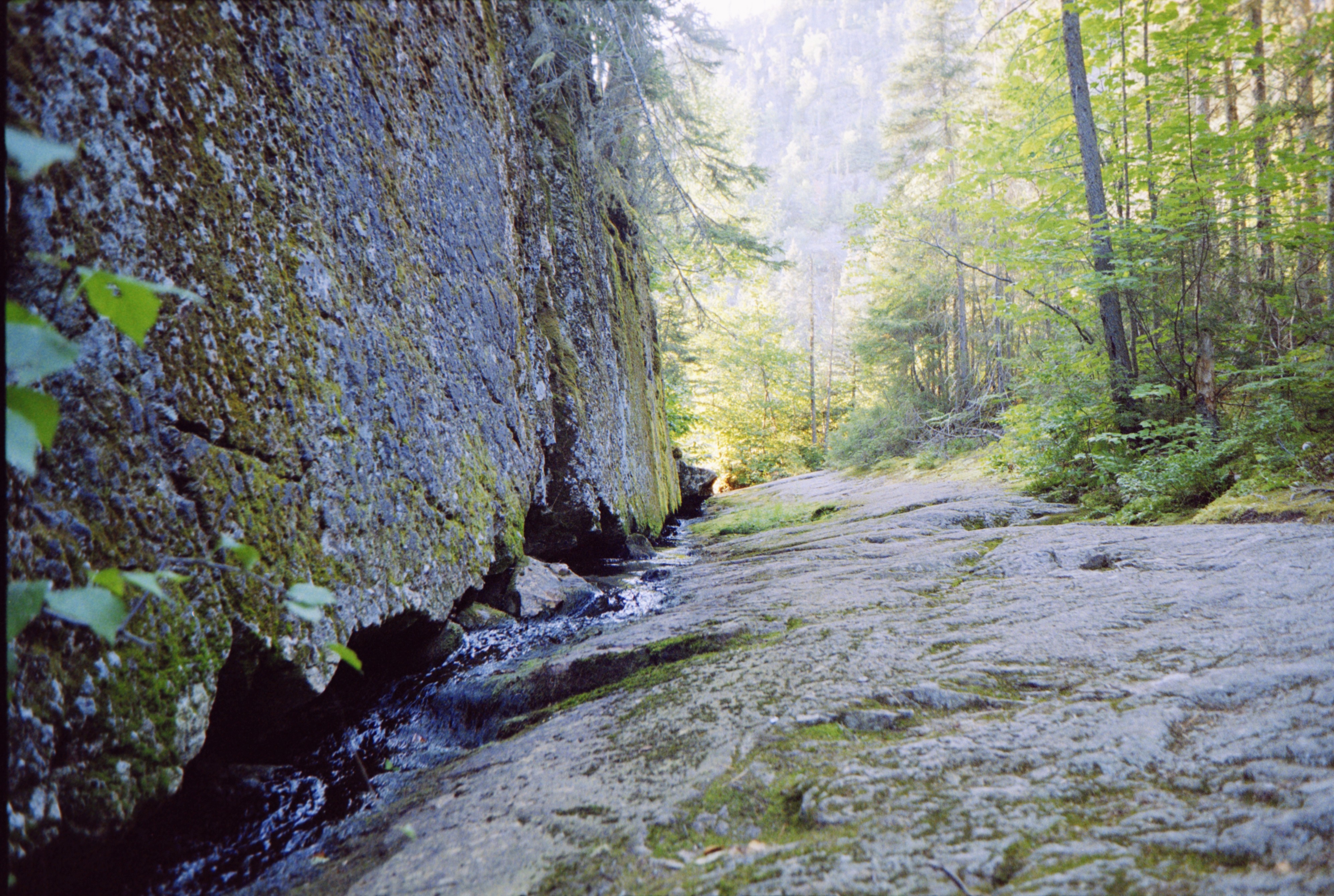 Gallery image 62