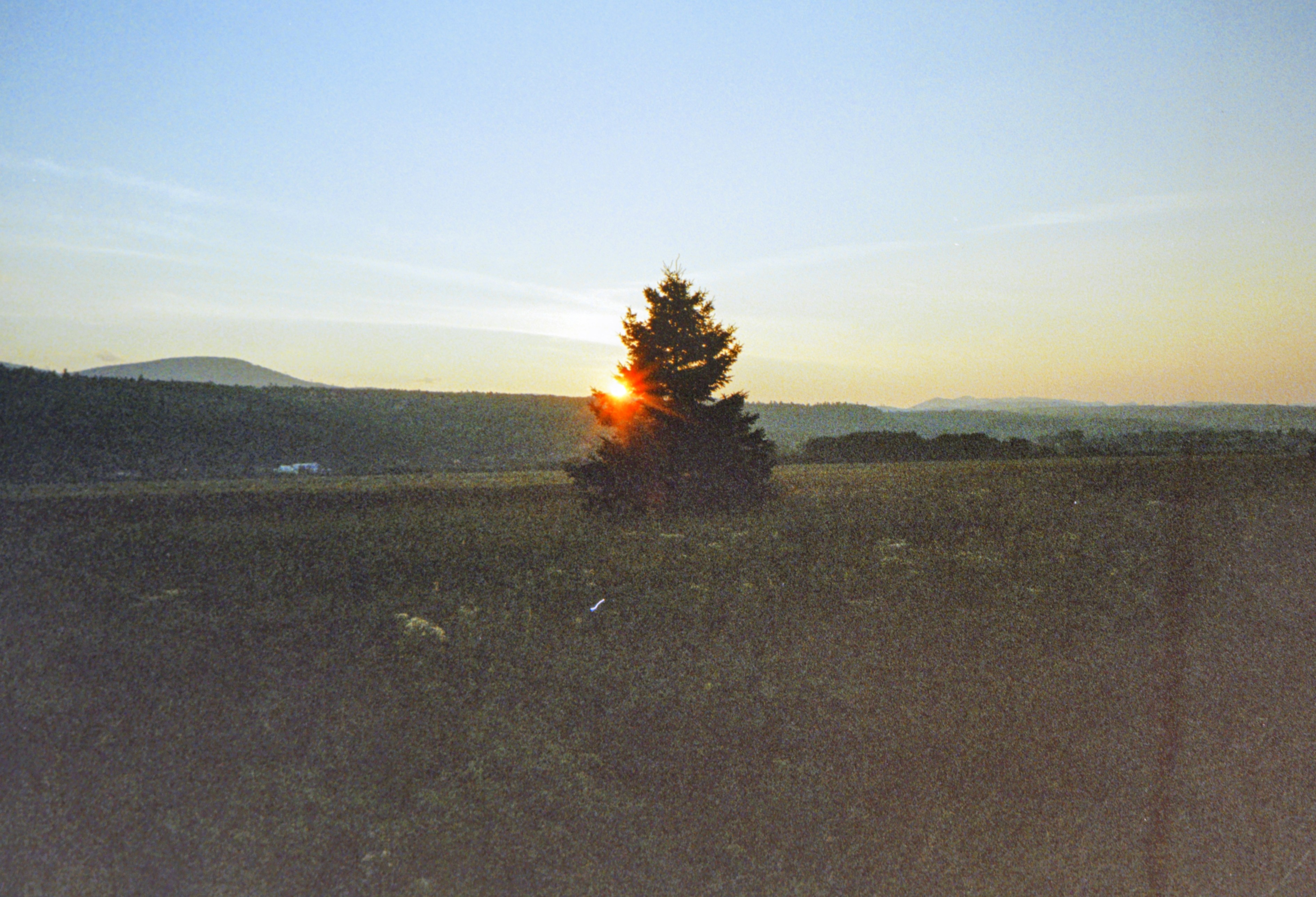 Gallery image 59