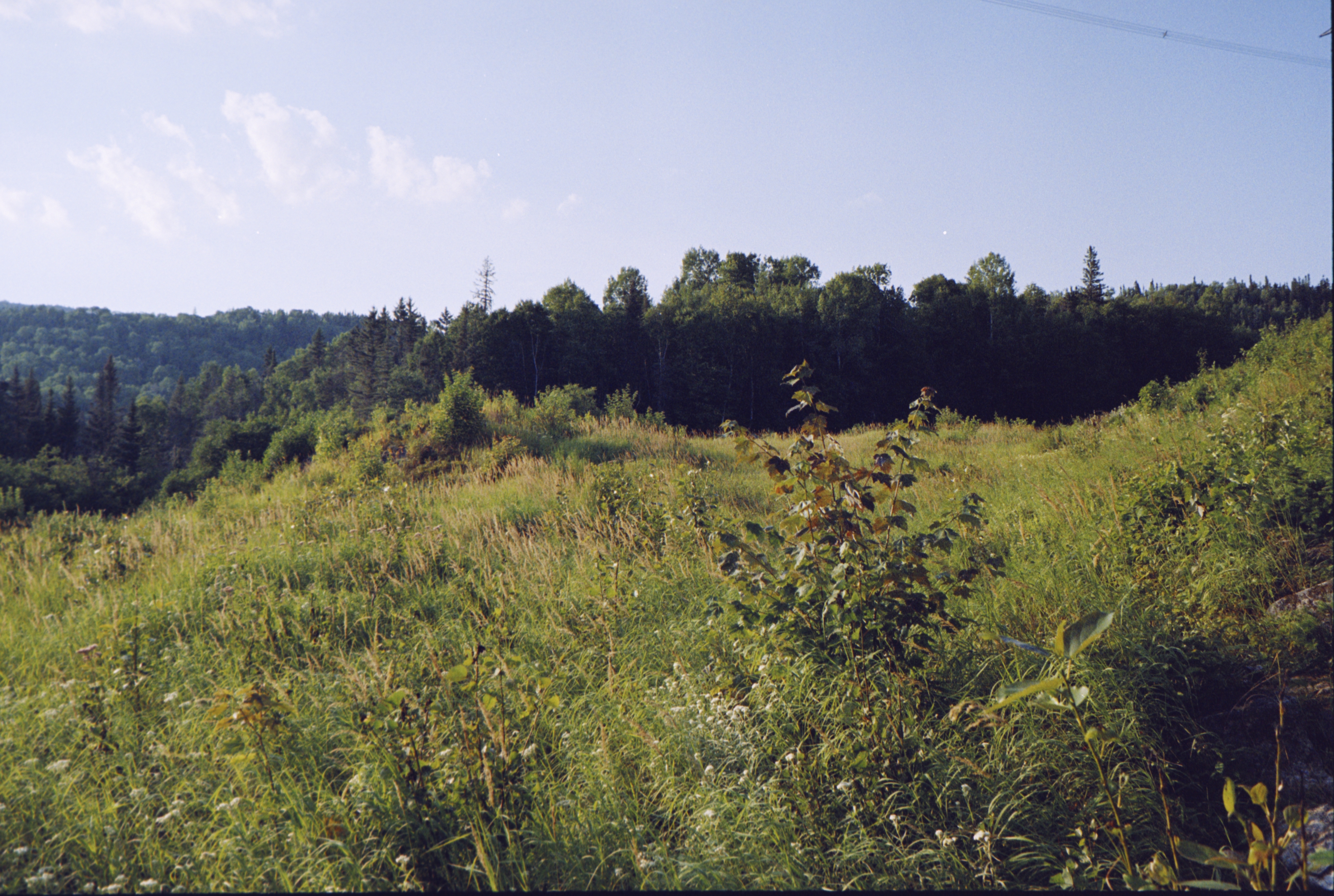 Gallery image 63