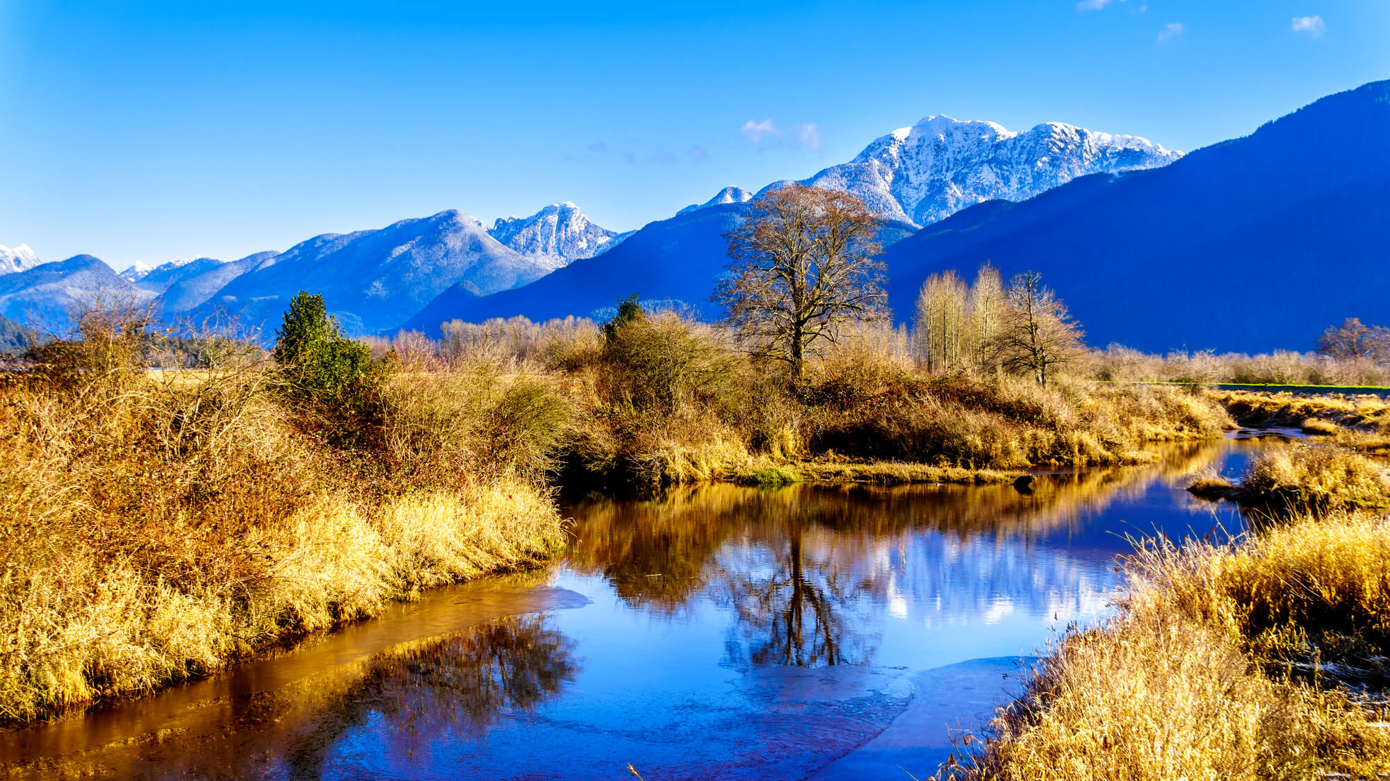 Pitt Meadows city and airport, Greater Vancouver