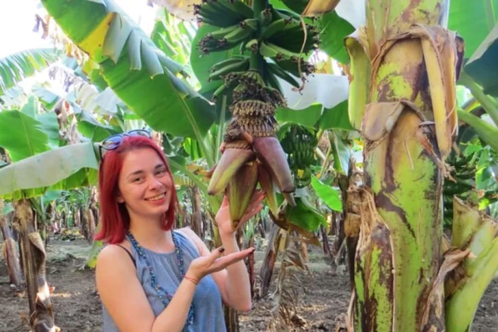 Experience the charm of Banana Island with a Luxor excursion