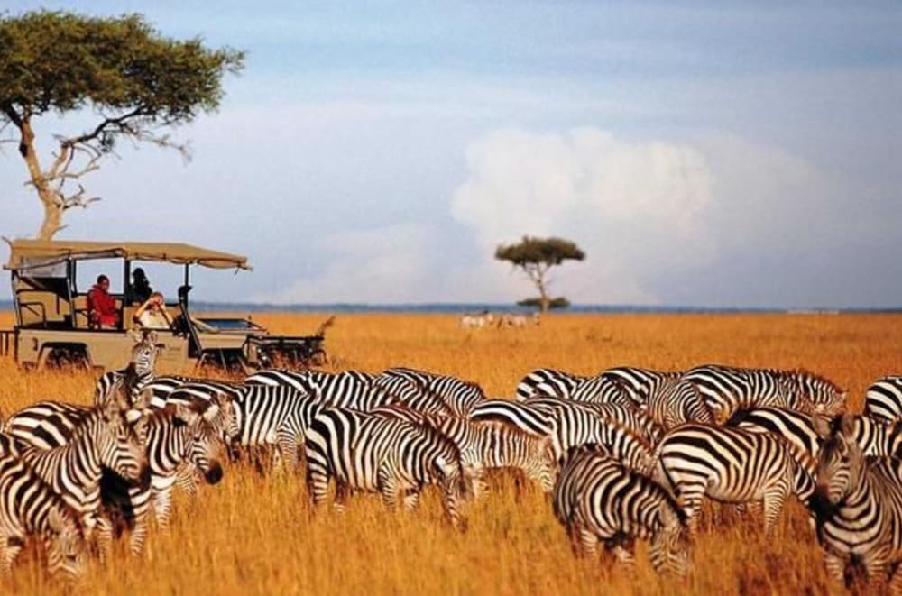 Wildlife roaming the Masai Mara savanna during the Best Kenya Safari Tour.