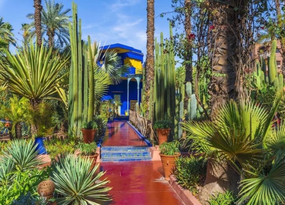 Explore Majorelle Garden through a Morocco private tour