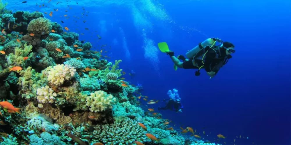 Giftun Island snorkeling trip with Hurghada Excursions