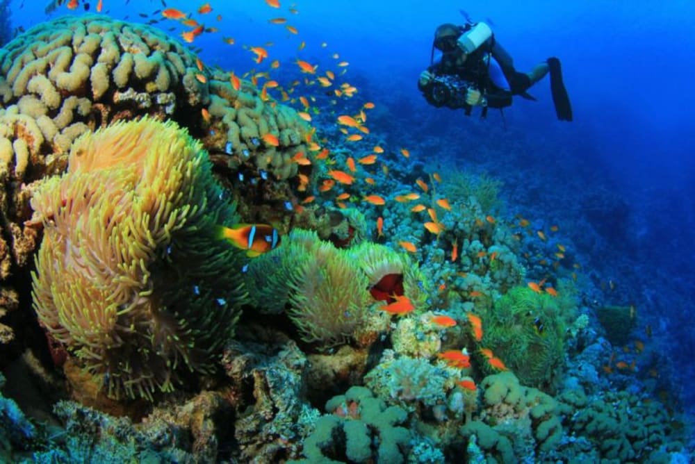 Hurghada beach in all inclusive trips to Egypt from USA