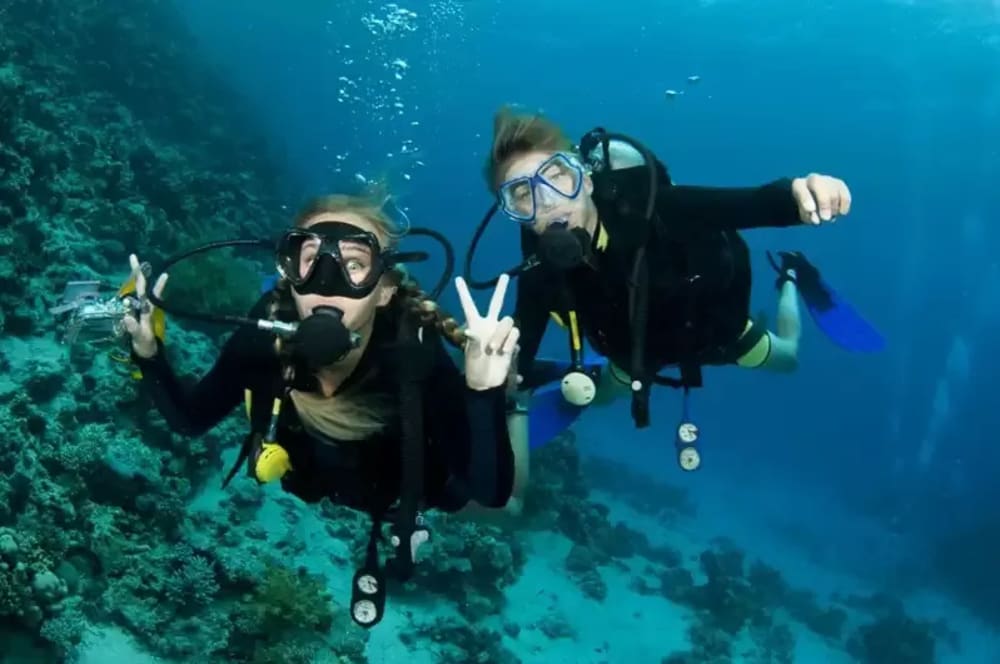 Colorful coral reefs and tropical fish in Red Sea