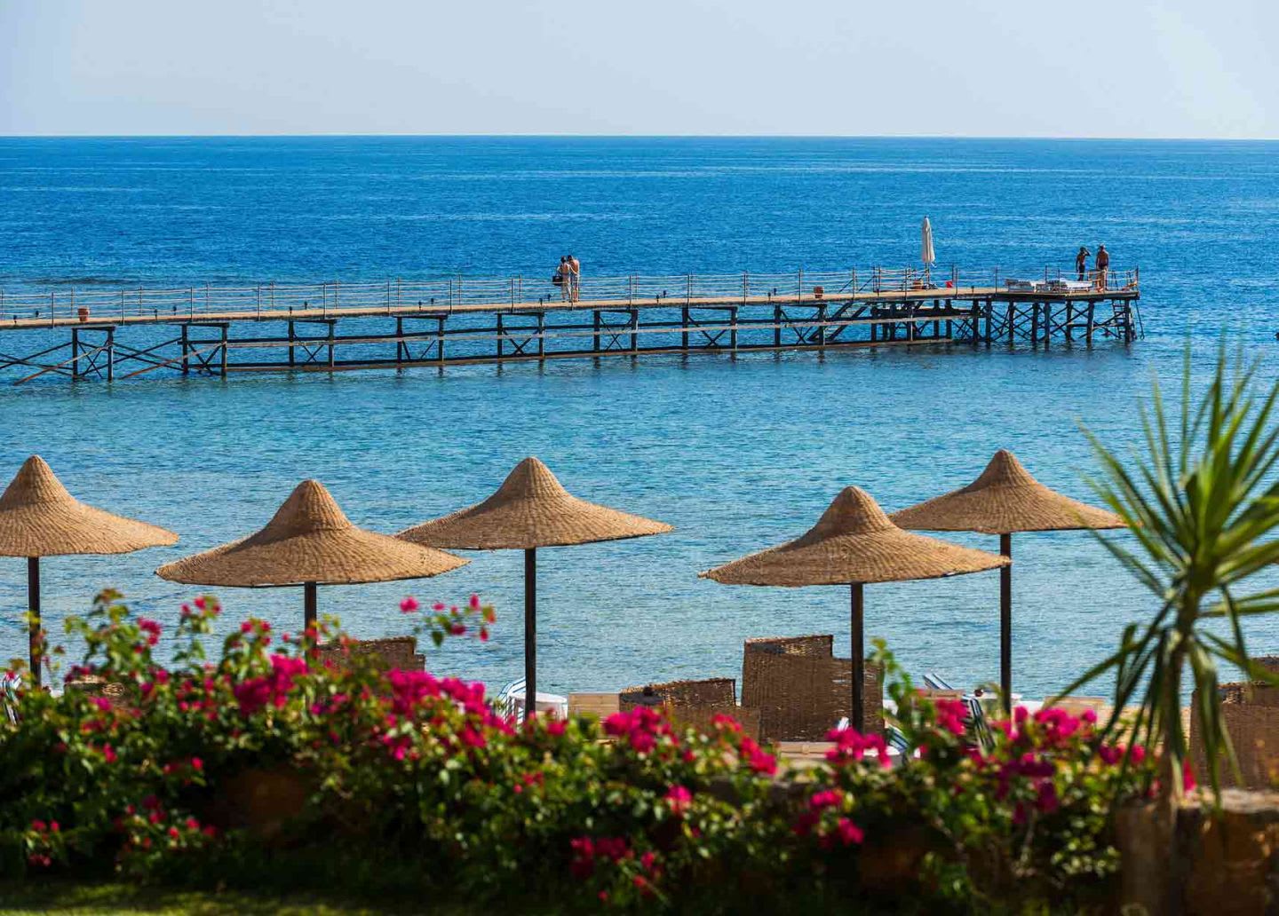 Top Things to Do in Marsa Alam