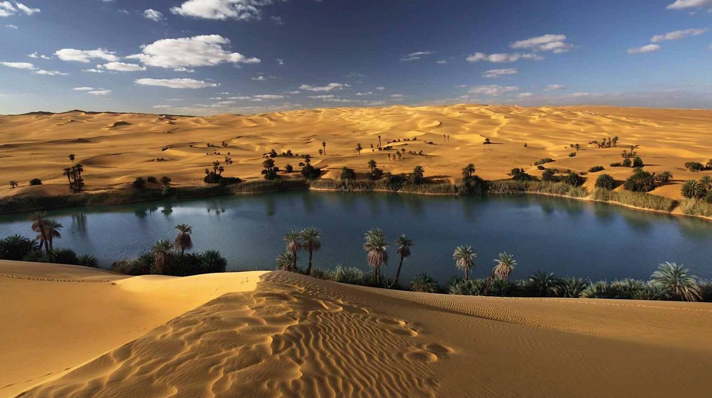 baharya oasis 