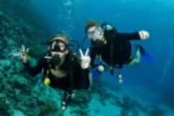 Colorful coral reefs and tropical fish in Red Sea
