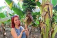 Experience the charm of Banana Island with a Luxor excursion