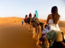 Camel trekking in the Moroccan Sahara adventure under endless skies