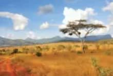 Serengeti National Park