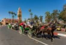 Horse-drawn carriage tours in Morocco