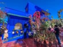 Explore the vibrant Majorelle Garden during your Morocco adventure