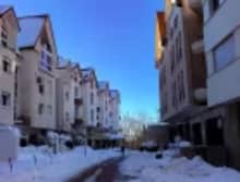 Discover Ifrane and Azrou on Morocco tours