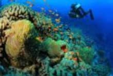Hurghada beach in all inclusive trips to Egypt from USA