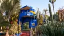 Majorelle Garden is a Morocco tour stop