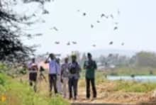 Wildlife and bird watching tour in Aswan Egypt featuring birds, river landscapes, and natural scenery