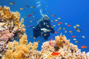 Hurghada Day Tours