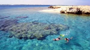 Giftun Island, Hurghada