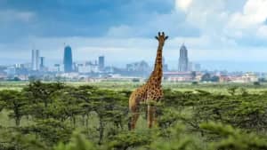 Kenya