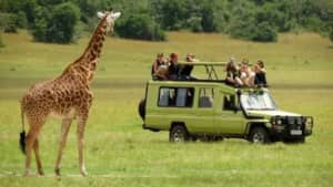 Egypt and Africa Tours