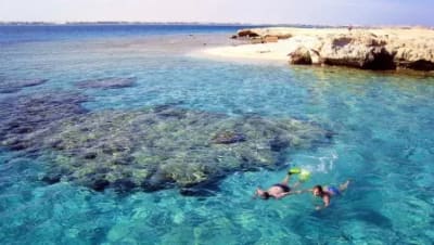Giftun Island, Hurghada
