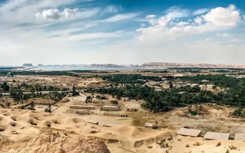 Siwa Oasis Tour