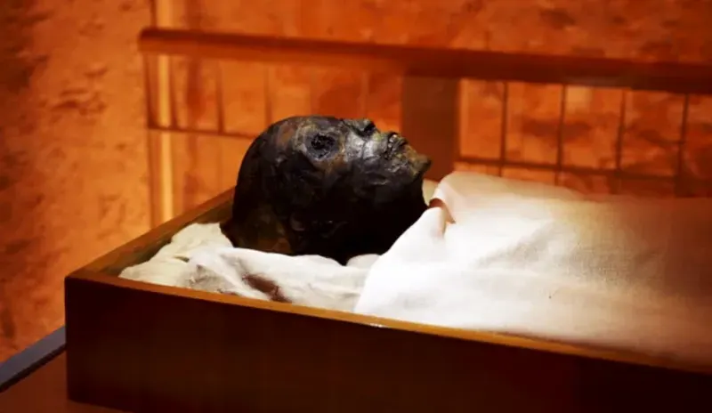 Crucero por el Nilo y Tours en El Cairo