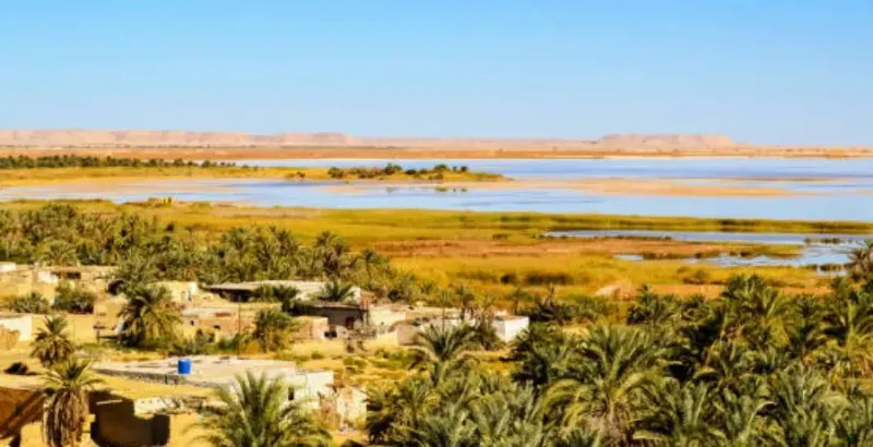 Viaje Organizado a Siwa 3 Días Con Guía En Español