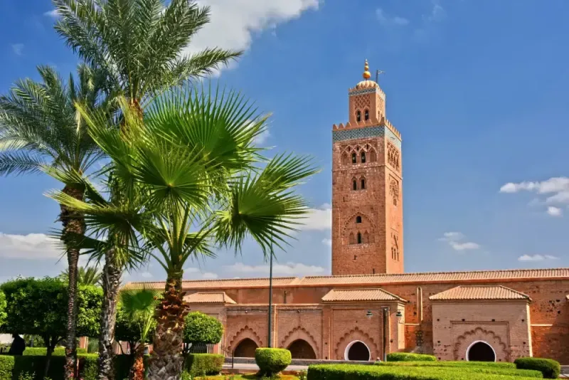 Casablanca to Marrakech Day Trip