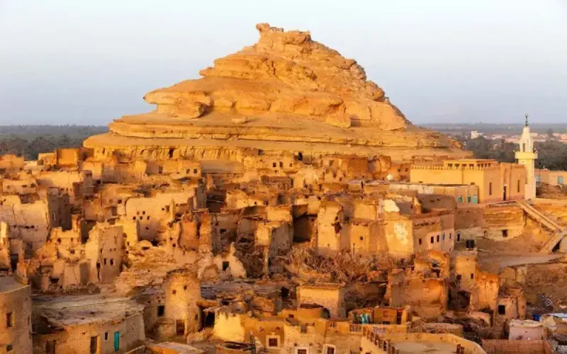 Siwa Oasis Tour