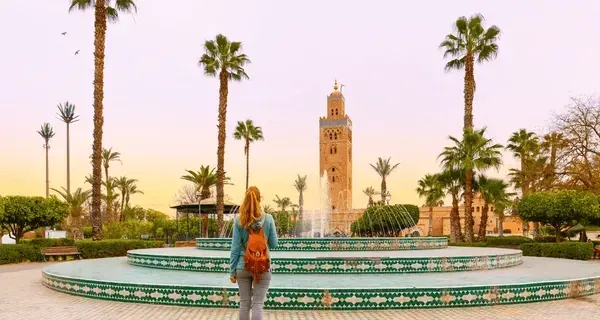 Casablanca to Marrakech Day Trip