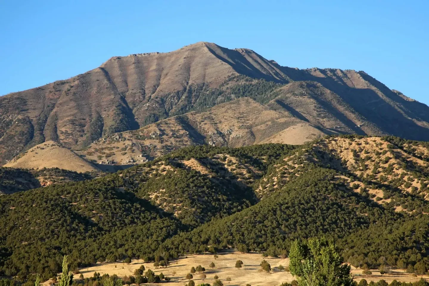 Mt. Nebo