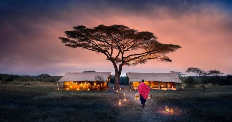 Night safari in Serengeti with safari jeep under starry African sky