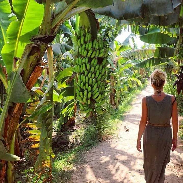 Banana Island, Egypt, Luxor Best Luxor Excursion: Visit the Charming Banana Island on the Nile