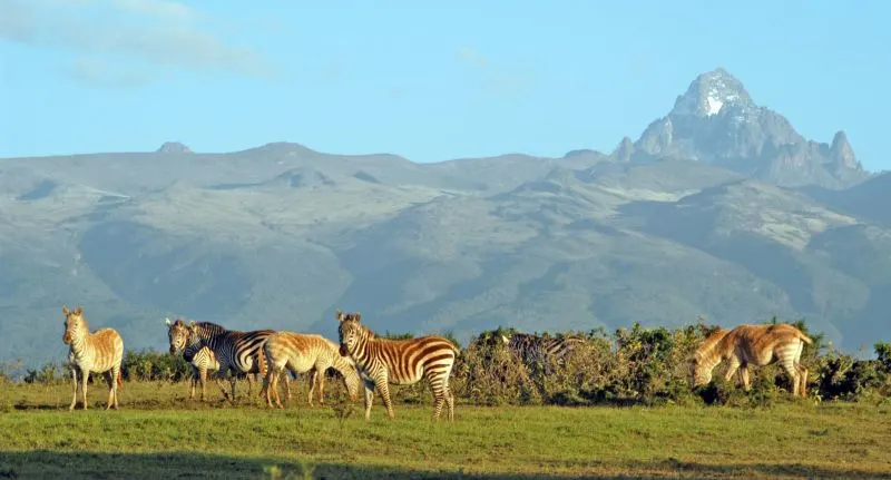 Kenya and Tanzania safari package featuring Big Five wildlife
