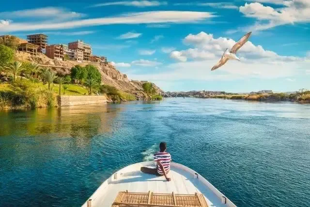 Best bird watching tour in Aswan Egypt exploring local bird species and the natural beauty of the Nile