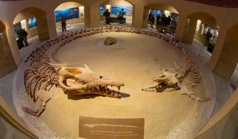 12 Days Egypt Adventure Tours