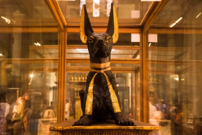 Best Egypt Tours: 8 Days Cairo and Nile Cruise