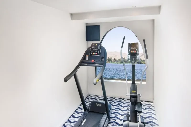Modern gym with Nile views