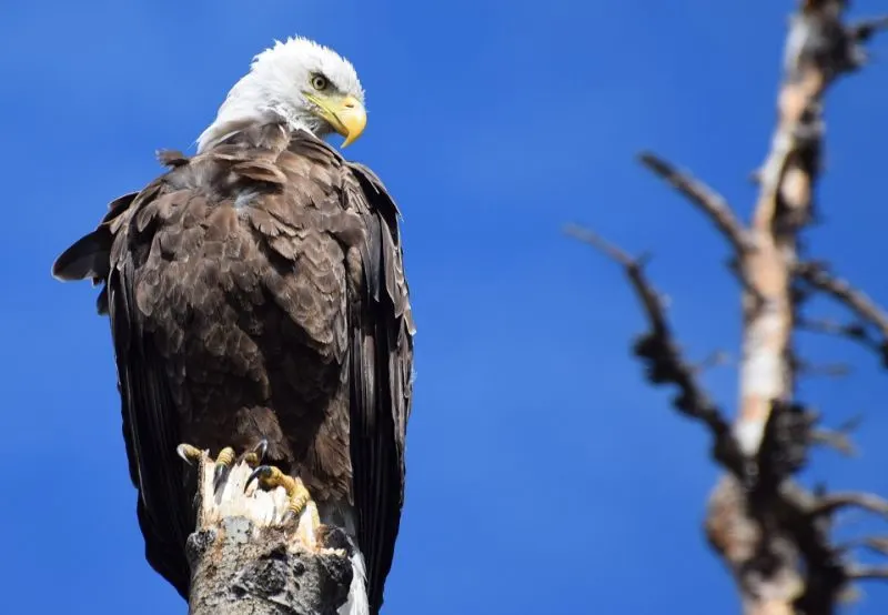 11 Days All Inclusive Vacation To Egypt