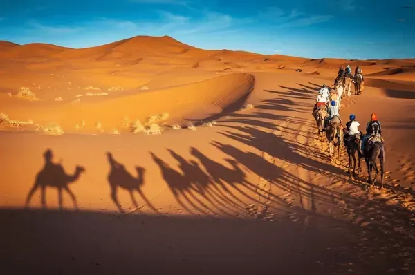 Enjoy thrilling dune adventures during the Dubai Desert Safari on your 7-day Dubai Family Tour.