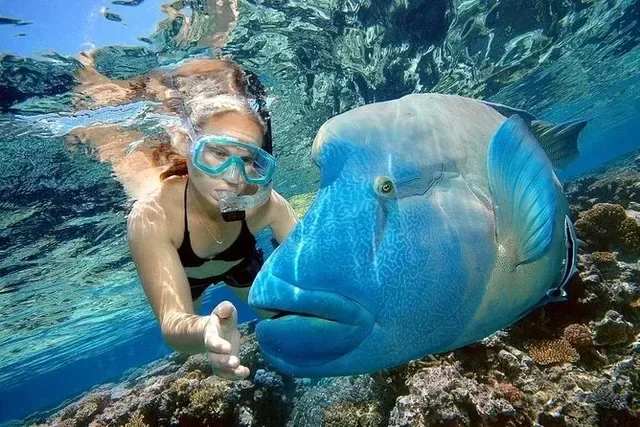 Snorkeling in Hurghada – Orange Bay Island Adventure