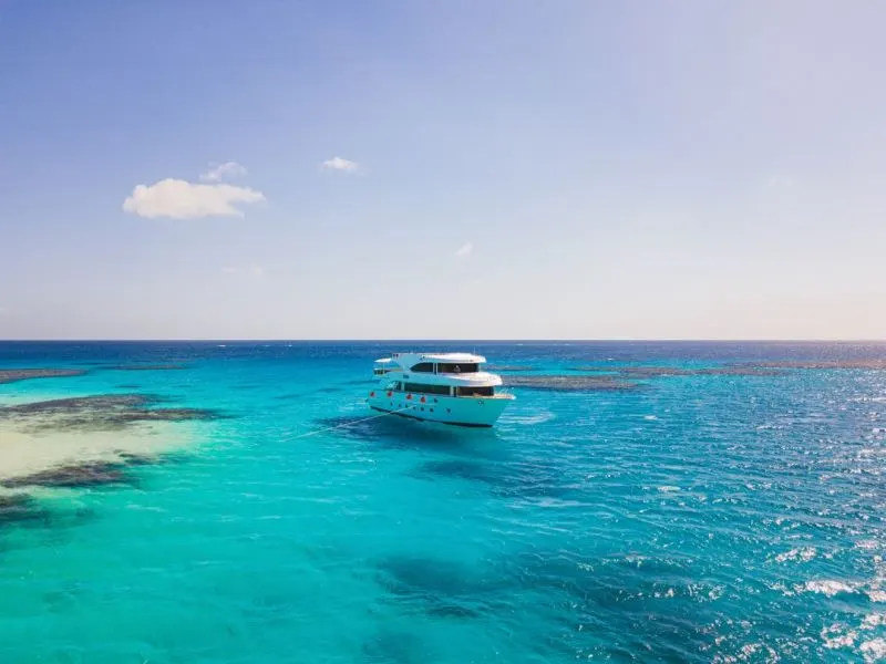 Tourists enjoying Marsa Alam holidays while spotting a Dugong at Marsa Mubarak lagoon.