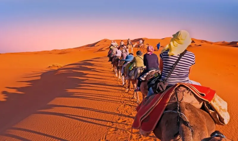 Explore the Sahara by camel in Morocco