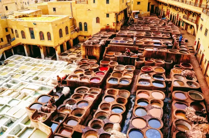Fes Tannery is a top stop on Morocco tours