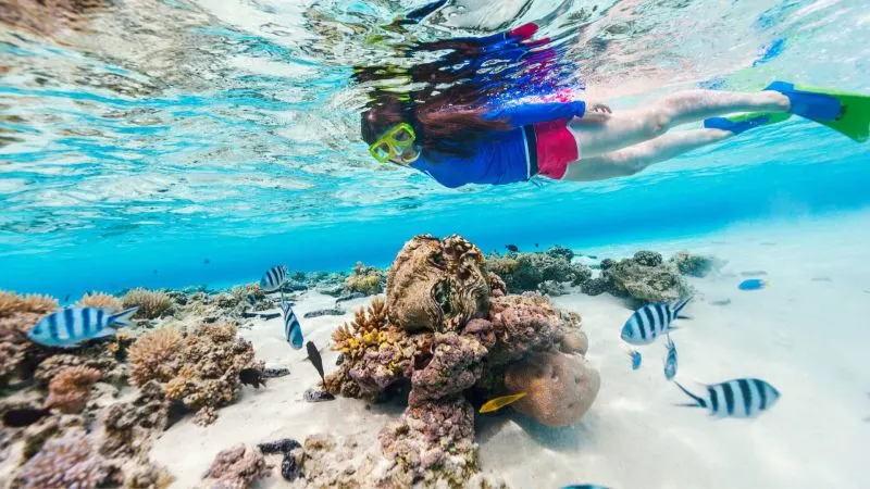 Snorkeling Trips From Marsa Alam Travelers exploring coral reefs — one of the top things to do in Marsa Alam.